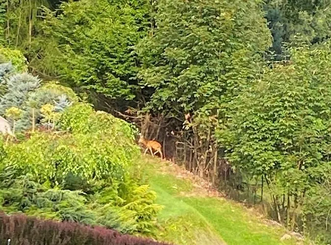 아파트 Kozubnik - 16 Z Duzym Tarasem *